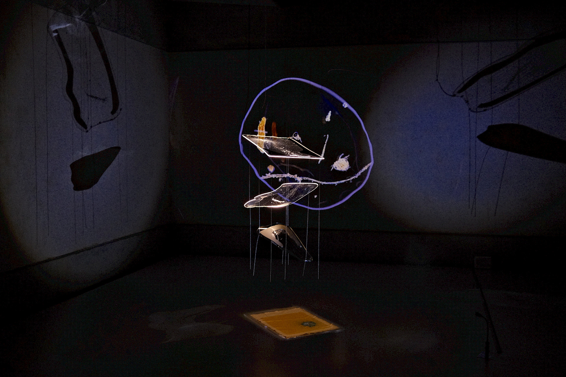 Watershed Tough Love